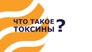 Подробнее о статье Что такое токсины и как от них избавиться?