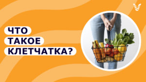 Подробнее о статье Что такое клетчатка и почему она важна при правильном питании?